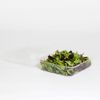 Inline Plastics SureLock PET Food Container Clear 194 oz. | 200/Case