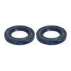 2 Drive Seals 7174-856-R compatible with Delphi DP200 Pumps