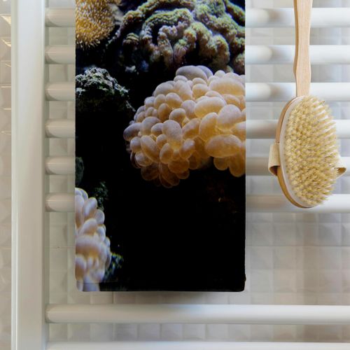 3dRose 22x30 Bath Hand Pool Towel - Salt Water Aquarium, Vitu Levu, Fiji - OC01 DPB0397 - Douglas Peebles Fiji
