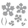 Spellbinders Carnation Etched Dies, Metal