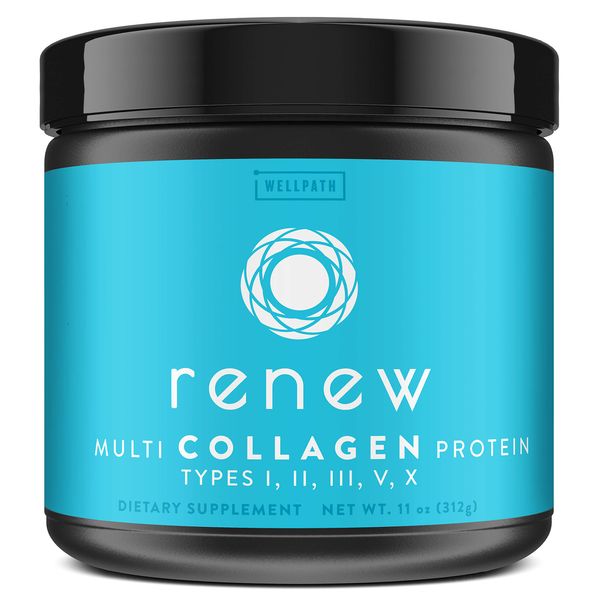 WellPath Renew [Multi Collagen Protein Powder] - 5 Types of Collagen - Hydrolyzed Grass-Fed Bovine, Marine, & Chicken Collagen Peptides - Type I, II, III, V, and X - Keto Friendly Supplement, 11 oz