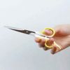 Doggyman Cut Scissors