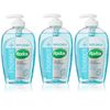 Radox Antibacterial Plus Replenish Hand Wash 3 Pack