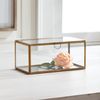NAPA Home & Garden, ARWEN Rectangular Display Box