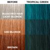 Stargazer Tropical Green Semi Permanent Hair Dye
