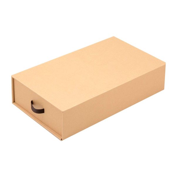 Boot Storage Box, Set of 2, Cardboard Storage, Complete Product, No Assembly Required