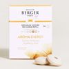 MAISON BERGER Aroma Energy Sparkling Zest Car Diffuser Refills