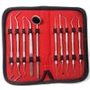 10 Pcs Professional Plaque Remover Kit Oral Care Tools Stainless Steel Double Ended Dental Picks with Scraper, Mouth Mirror, Tweezers & Plugger for Gum Care Cleaning Set with Carrying Case