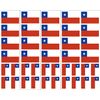 Chile Flag, Chilean Party Favors c