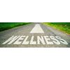 Healthy Habits StrictionD with Glucohelp, Banaba Extract, Ceylon Cinnamon & Crominex 3+ is 100% All Natural