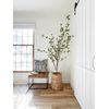 6.5’ Artificial Citrus Minimalist Tree Home Decor. Retail $248