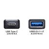 Sanwa Supply Type to C-USB A Adapter AD-USB28CAF