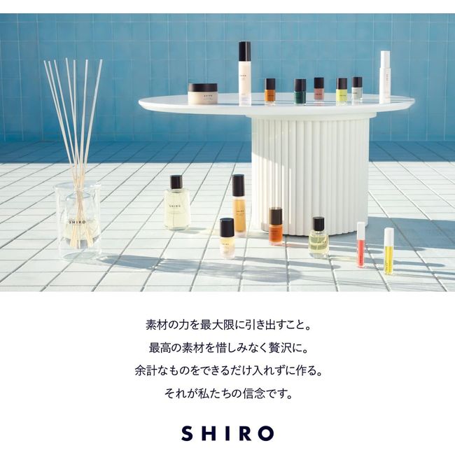 Shiro discount white tea