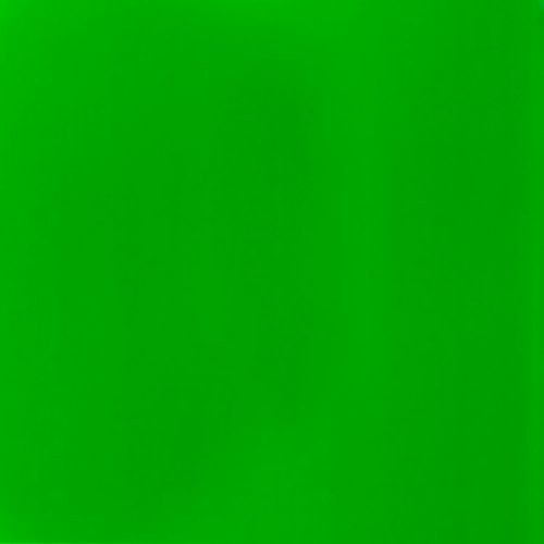 LIQUITEX Acrylic Paint Basics B-095, Fluorescent Green, 4.0 fl oz (118 ml)