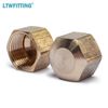 LTWFITTING 3/8-Inch Brass Compression Cap Stop Valve Cap,Brass Compression Fitting(Pack of 60)