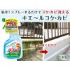 Moss Mildew and remove Prevent kie – Twinkle Moss, Mold