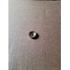1 In Polished Brass Round Knob Backplate