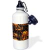 3dRose Jack O Lanterns And Gothic Candle Random Pattern - Water Bottles (wb-385273-1)