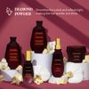 Saphira Healing Repair Shampoo 8.5oz / 250ml