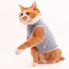 Cat Friendly Cat Clothes Cat Warm Border (Sleeveless) (S, Blue)
