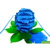 Hydrangea, 3D Popup Greeting Cards for all occasion