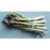 asparagus b vitamins - Asparagus Extract 600mg - probiotic formula 1 Bottle