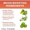 Brain Supplements for Memory and Focus Nootropic with Ginkgo Biloba 30 Capsules