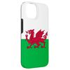 iPhone 14 Welsh Red Dragon Flag of Wales Case