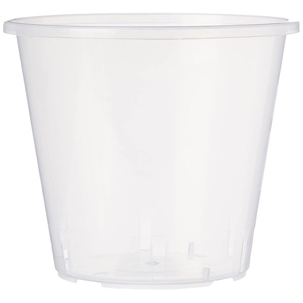 Stewart 2646008 11 cm Clear Pot - Clear