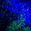 Lunmore Firefly Garden Lights Star Projector Laser Christmas Lights