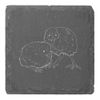 4 x 'Kiwi Birds' 10cm Square Slate Coasters (CR00220146)