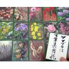 Flower Card game