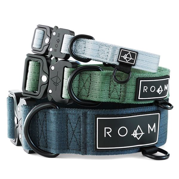 Made to ROAM Premium Dog Collar - Adjustable Heavy Duty Nylon Collar with Quick-Release Metal Buckle (Colorado Nightsky, Size 3)