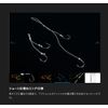 JACKALL Bing Switch Candy Spare Rubber Hook Set, Long, Shrimp Gold