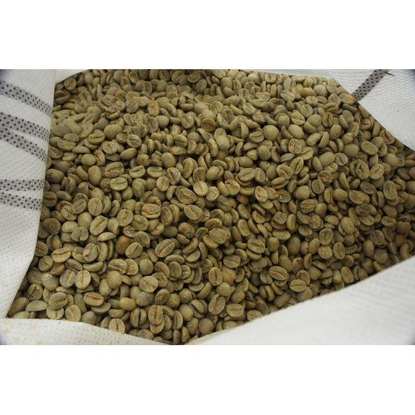 Brazilian Premium Chocolat [US Premium] Raw Coffee Beans Gram Sold (28.7 oz (800 g)