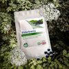 100 x Elderberry (Sambucus) Extract 1000mg Tablets, Cholesterol, Heart Support, Antioxidant