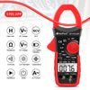 6000 Counts Digital Clamp Meter Multimeter True RMS AC DC Current Volt Amp Meter