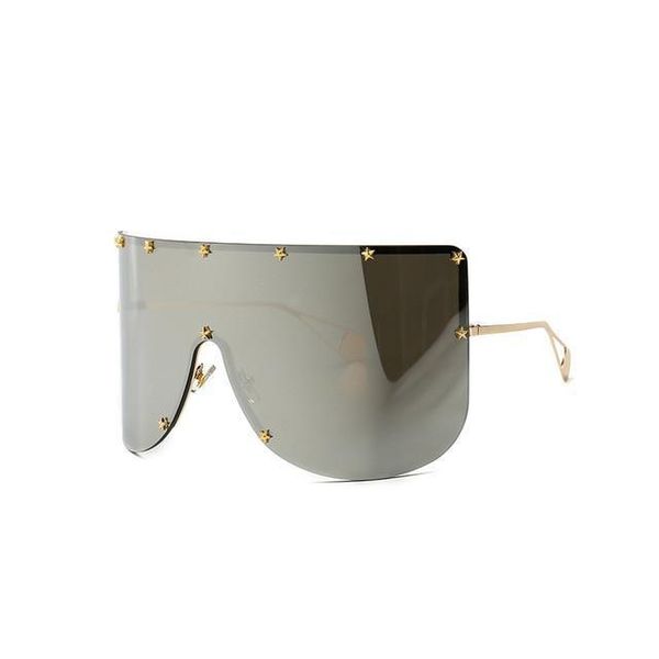 Elaiza Oversized Sunglasses - Silver Mirror - Silver Mirror