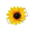 XUMIN 062N Simulation Sunflower Beak Clip, Acrylic