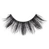 i•ENVY 3D Collection Multi-Angle & Volume Lightweight Vivid 3D (KPEI66)