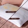 Airley Australian Tencel Jacquard Pillow Protector Two Pack