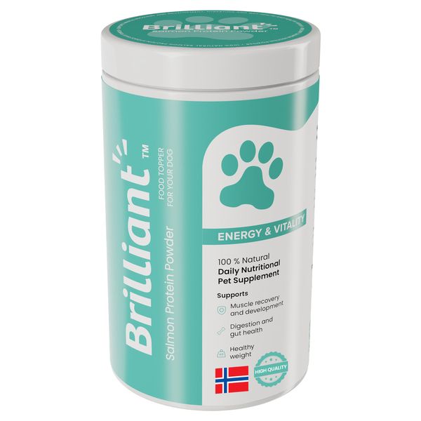 Brilliant Gut Health Protein Powder - Natural, High Protein Dog Gut Supplements - Digestive Health Dog Food Toppers. Salmon Protein and Collagen Dog Supplements with Probiotic Effects (300g)