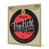 D'Addario EJ45LP