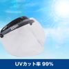 BOGO BG09-B3 Helmet Shield, Bubble Shield, Flip-Up, Closure, Base, Smoke, Regular