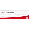 WALA Quercus Salbe bei Hämorrhoiden, 30 g Salbe