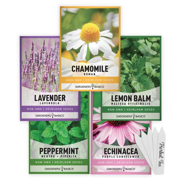 Gardeners Basics, Herbal Tea Seeds for Planting Indoors and Outdoors 5 Variety Packets Echinacea, Peppermint, Lavender, Chamomile and Lemon Balm - Great for Kitchen Herb Garden Heirloom Herb Seeds