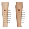 L'Oréal Infallible Total Cover Foundation, 35 g, 30 Honey