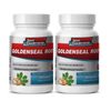 Echinacea Goldenseal - Goldenseal Root Hydrastis 520mg - Immune Support 2B
