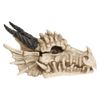 Nemesis Now AL50057 Dragon Skull Box 15cm Ivory