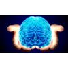 Focus Concentration Memory - ST. JOHN'S WORT EXTRACT - Brain Support - 3 Bottles
